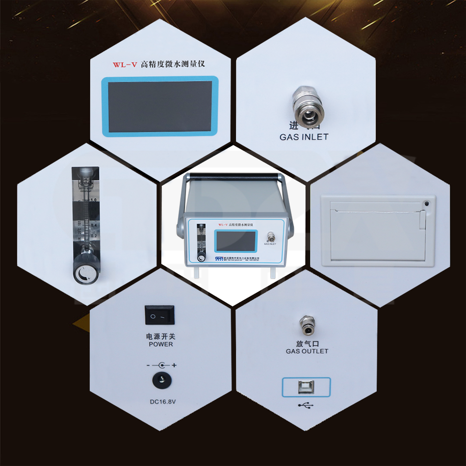 WL-V SF6高精度微水測量儀細節(jié)圖 WL-V SF6高精度微水測量儀細節(jié)圖